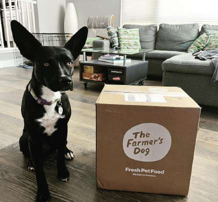 Lilikoi beside a pet food delivery